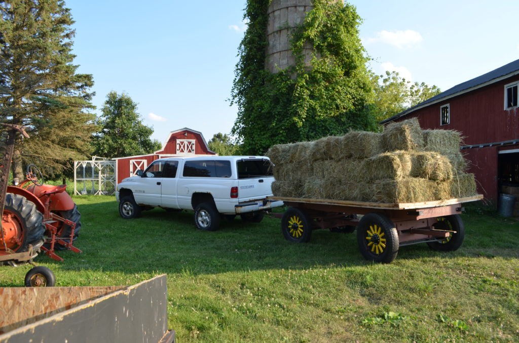 A Guide to Buying and Selling Hay Part 1 Homestead Hustle