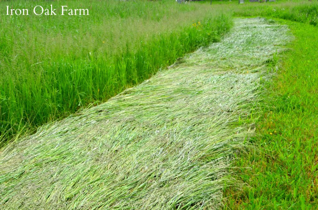 A Guide to Buying and Selling Hay Part 2 - Homestead Hustle