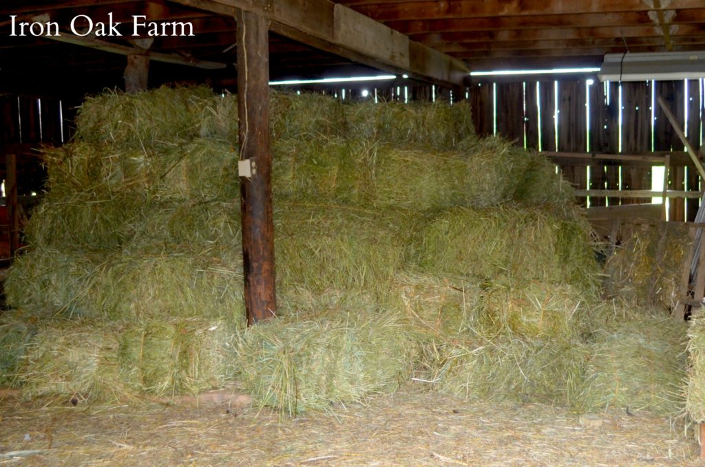 A Guide To Buying And Selling Hay Part 3 Homestead Hustle