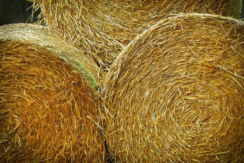 Baling Tips That Maximize Hay Quality - Homestead Hustle