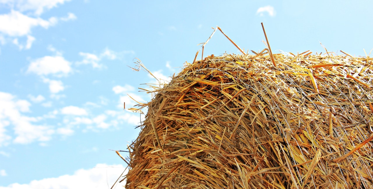 Baling Tips That Maximize Hay Quality Homestead Hustle