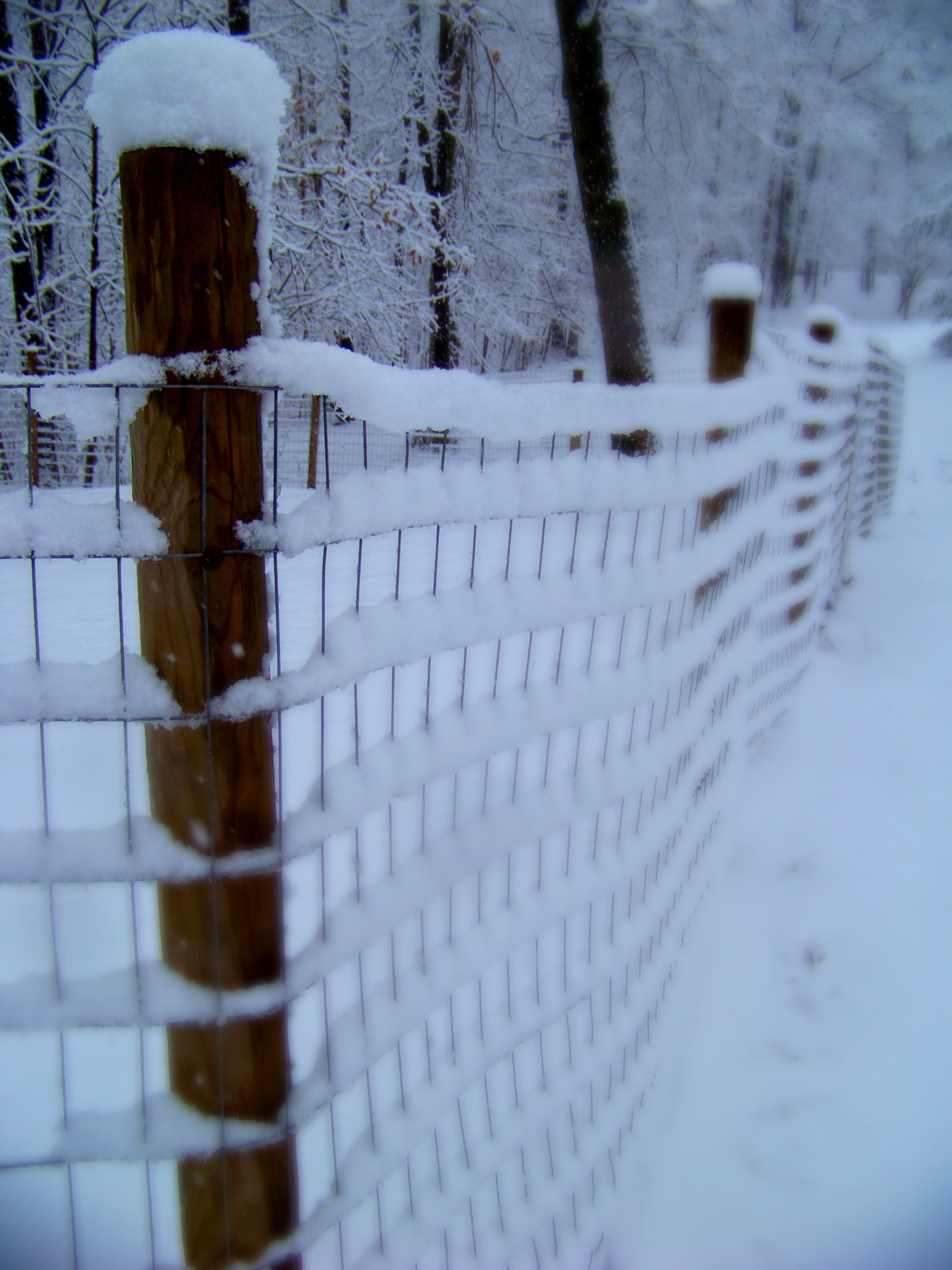 https://homestead.motherearthnews.com/wp-content/uploads/2017/11/Fence-with-snow.jpg