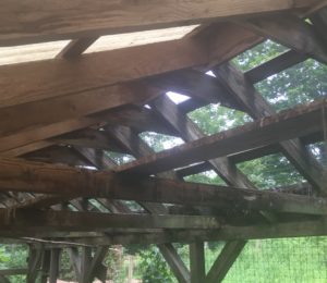 Part of the roof is covered with chicken wire, the other half is kept dry with roofing.