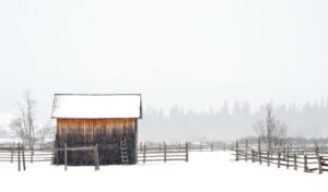 Weatherproofing property for winter