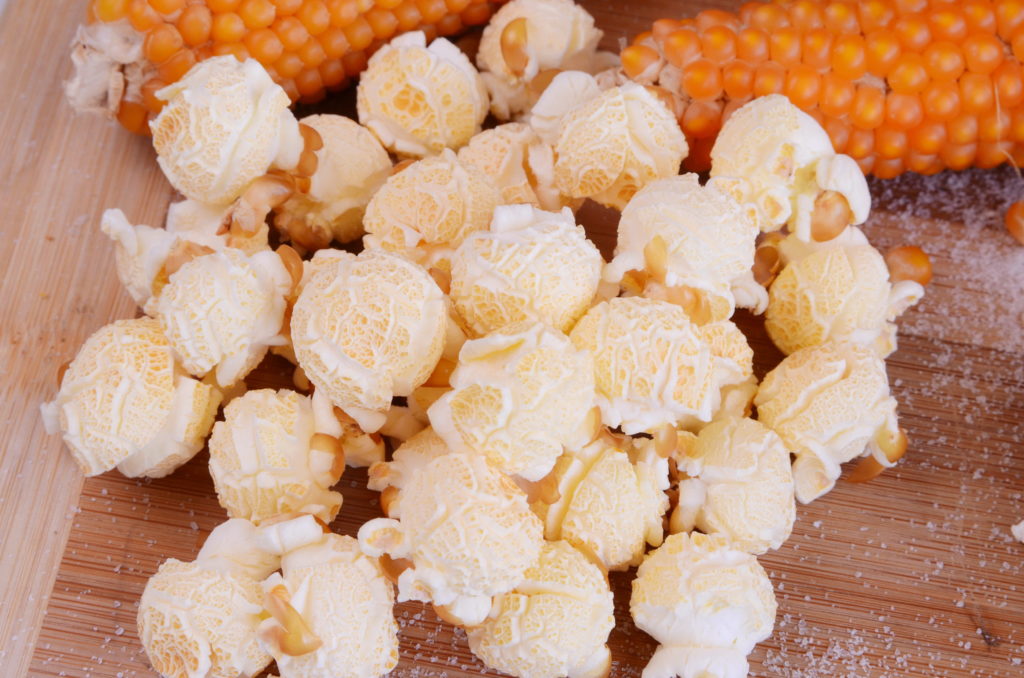 Round Popcorn Homestead Hustle