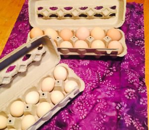 Homeschooling and Homesteading eggs