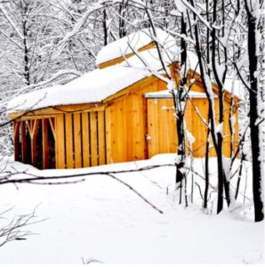 Sugar shack in the snow