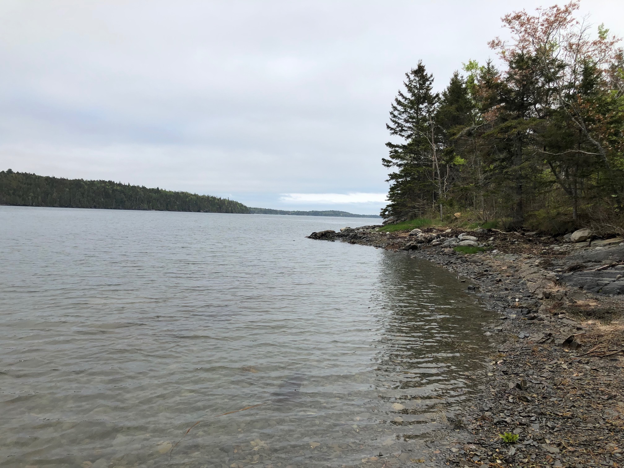 In the Likeness of the Nearings: Jamaica, Vermont to Downeast Maine ...