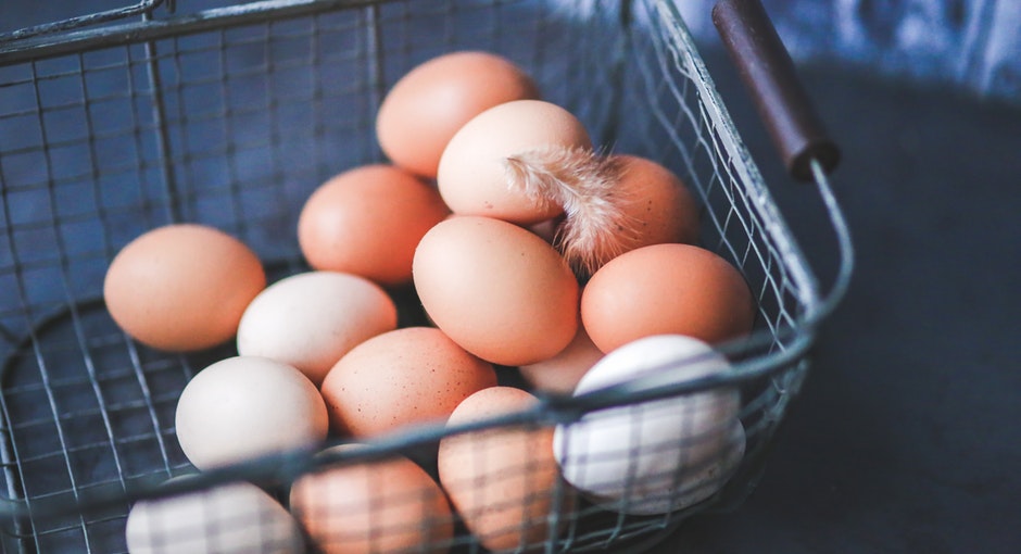 financial plan for your homestead business