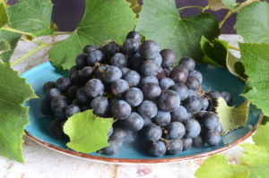 Scrumptious Table Grapes